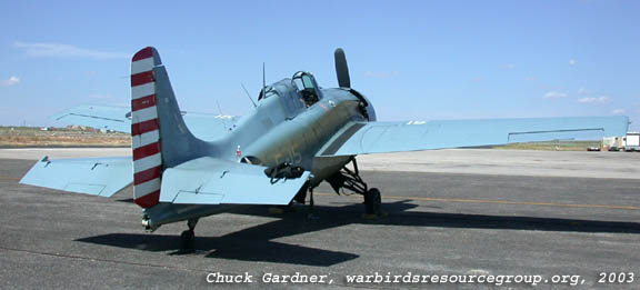 Wild Warbirds Wildcat